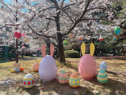 🌳 도요하시 공원(토요하시 코엔) 이미지 11